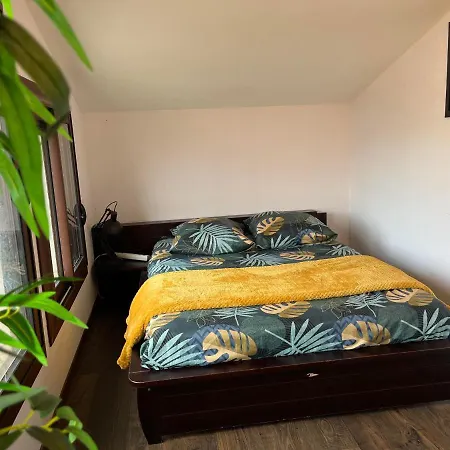 Grande Maison A 5min De La Plage וילה